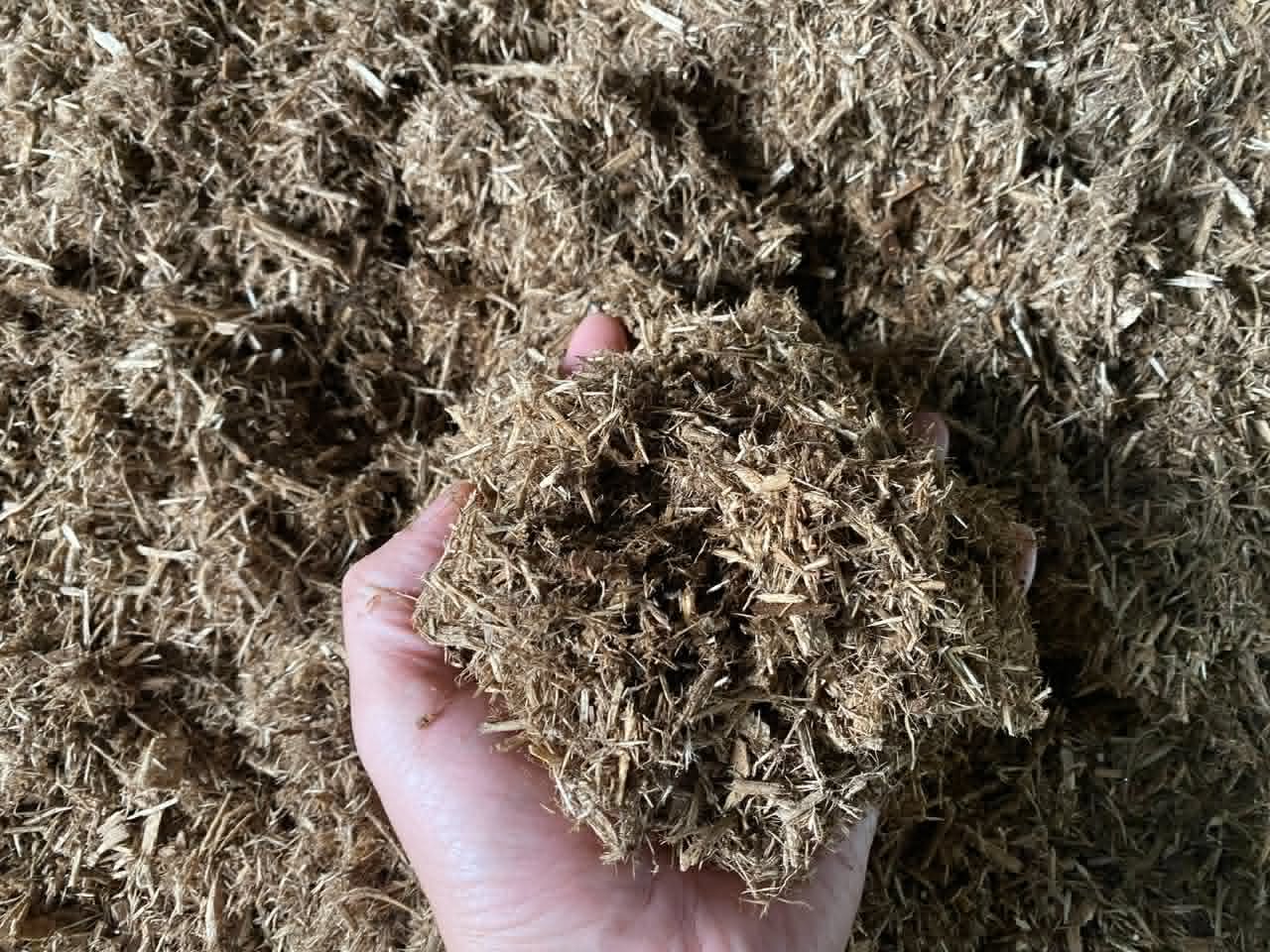 A hand holding finely crushed agricultural biomass fibre