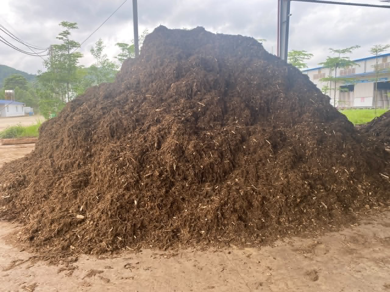 Biochar material