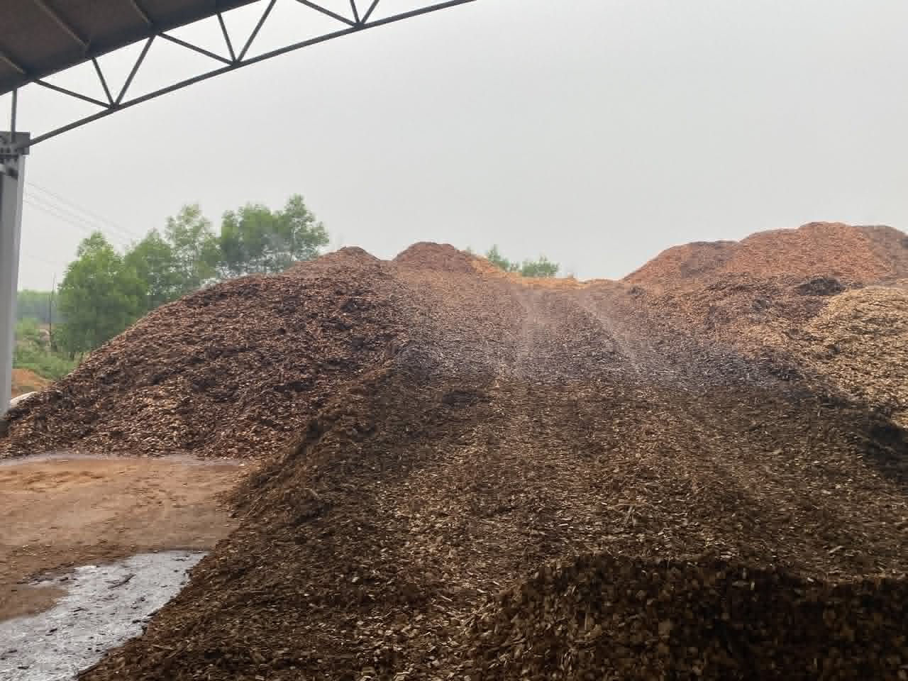 A pile of bark and wood residue ready to be valorized