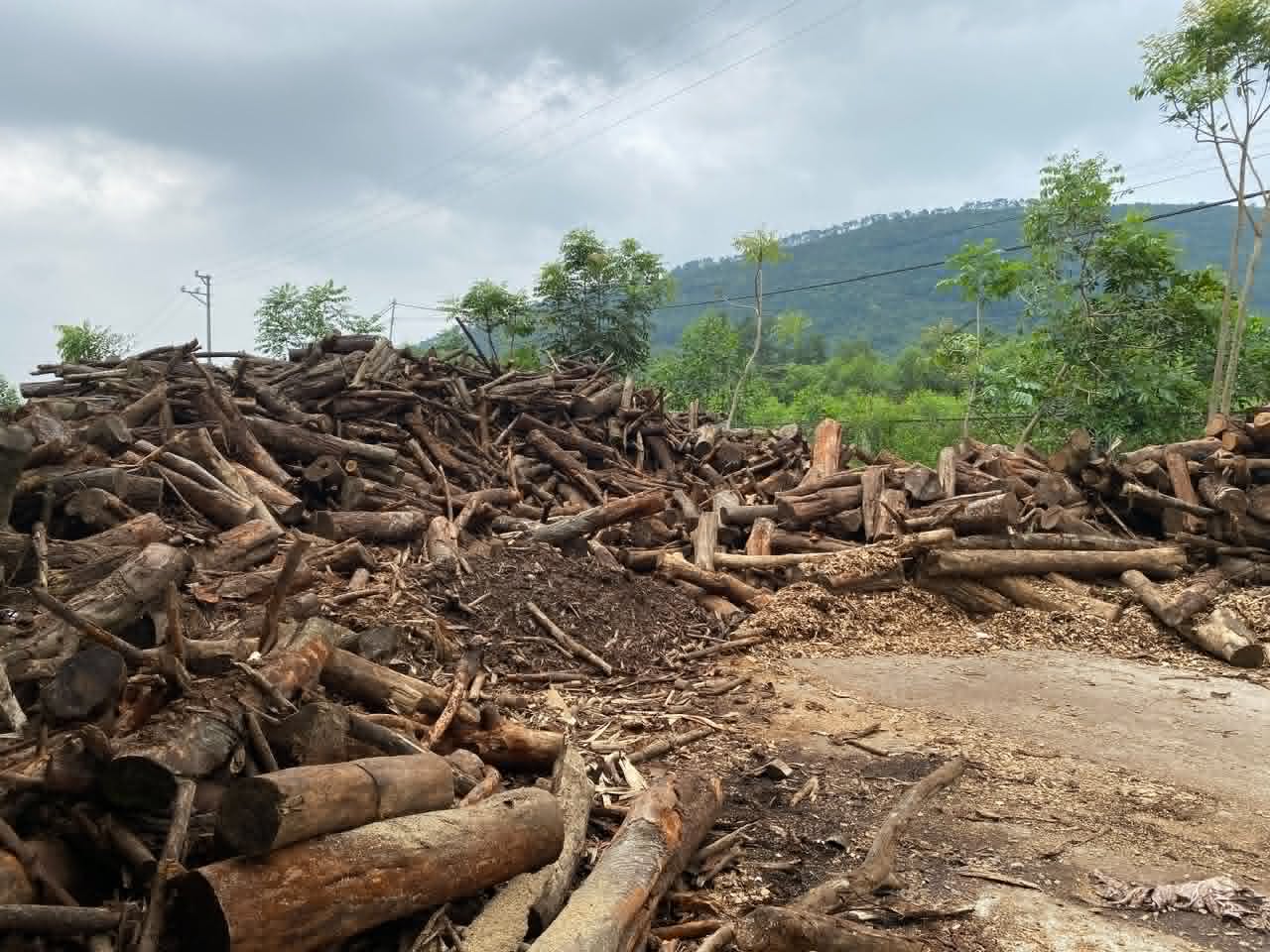 Forestry residues