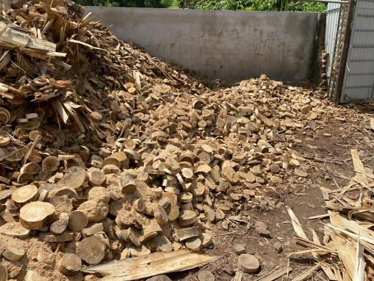 A large yard of chopped wood feedstock