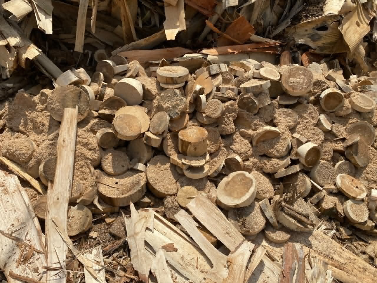 Cross-cut wood billets and sawn residues ready for processing